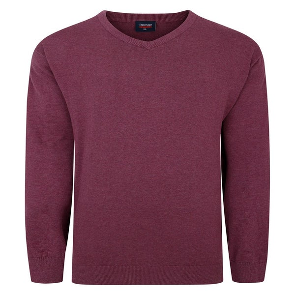 Grape V-neck jumper